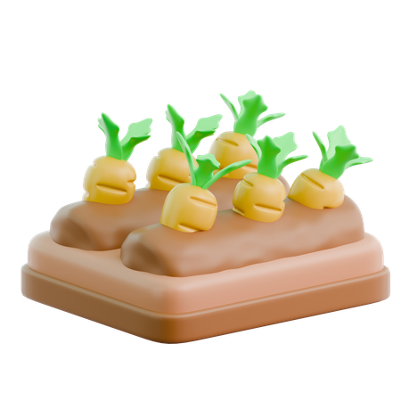 Carrot Field  3D Icon