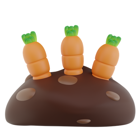 Carrot Field  3D Icon