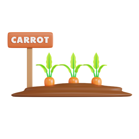 Carrot Field  3D Icon
