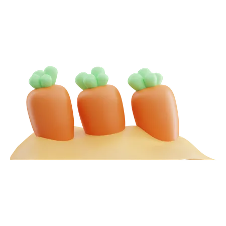 Carrot Field  3D Icon