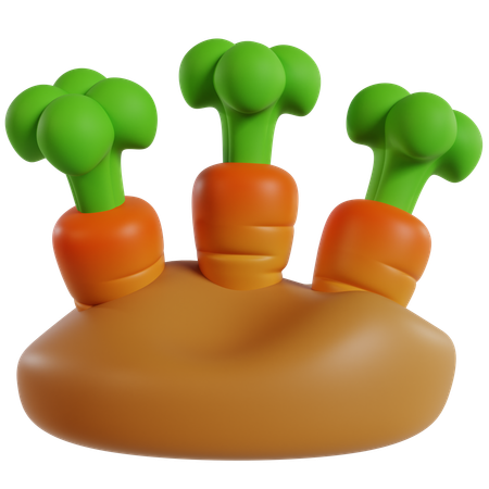 Carrot Garden  3D Icon