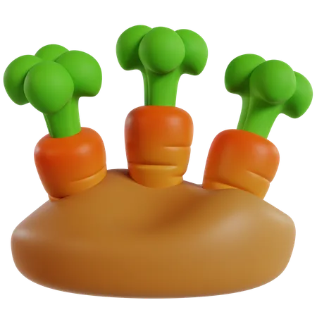 Carrot Garden  3D Icon