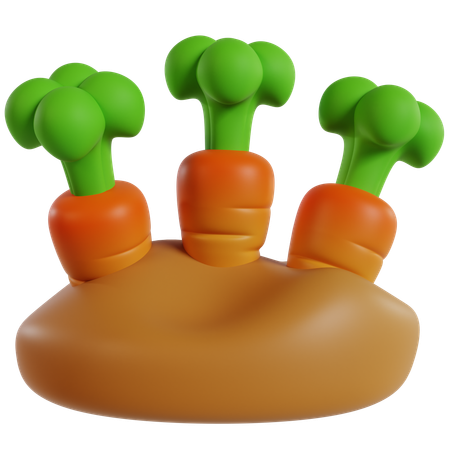 Carrot Garden  3D Icon