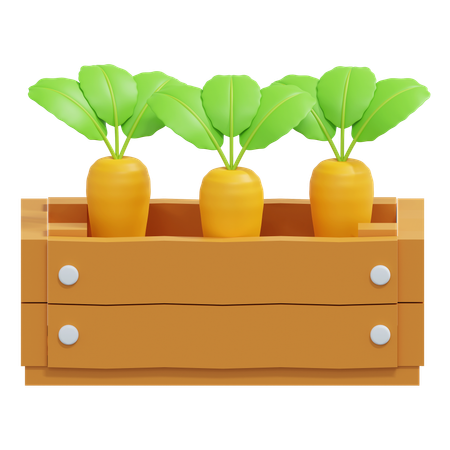 Carrot In Wood Box  3D Icon