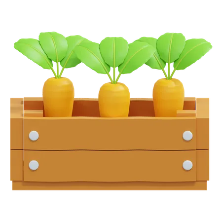 Carrot In Wood Box  3D Icon