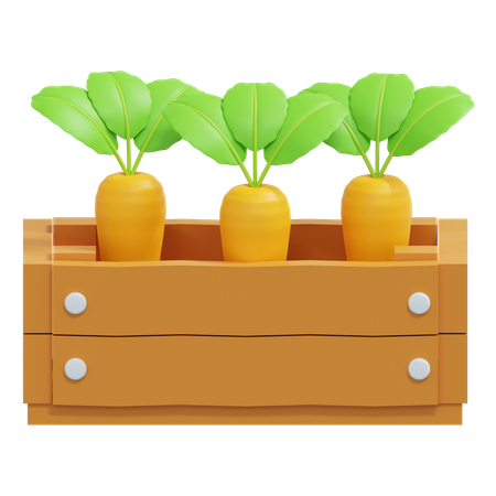 Carrot In Wood Box  3D Icon