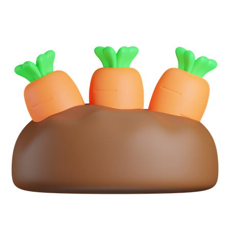 Carrot Plant  3D Icon