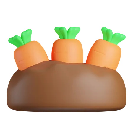 Carrot Plant  3D Icon