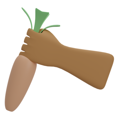 Carrot With Hand  3D Icon