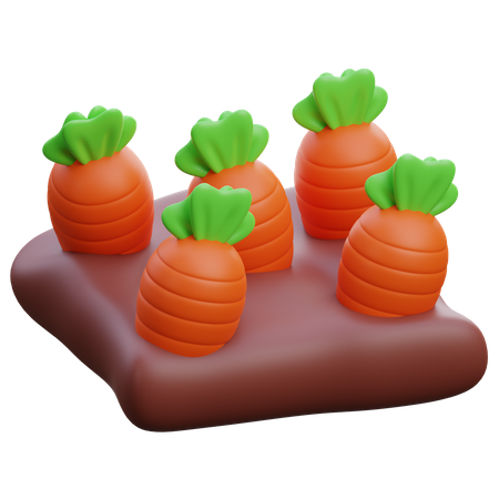 Carrots  3D Icon