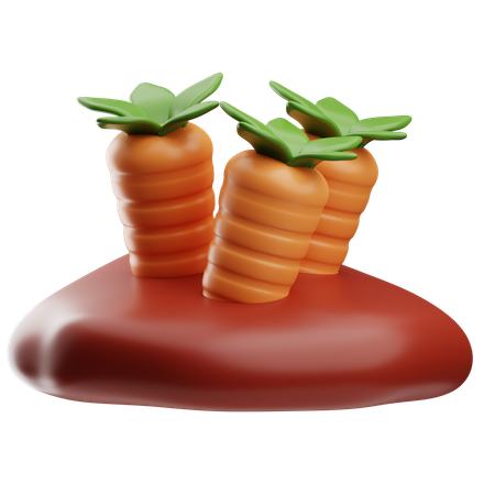 Carrots  3D Icon