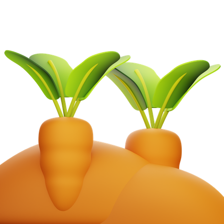 Carrots  3D Icon