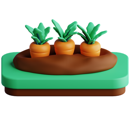 Carrots Farm  3D Icon