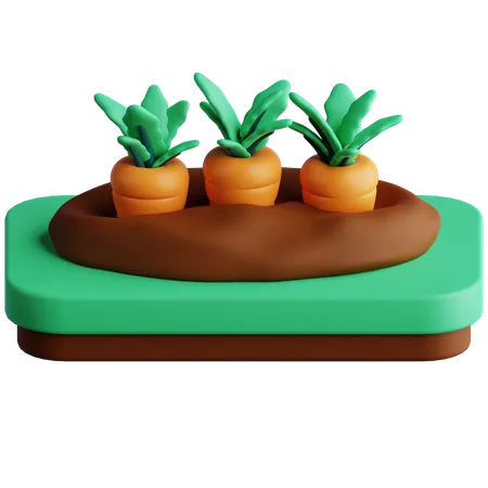 Carrots Farm 3 D Icon 3D Icon