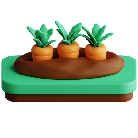 Carrots Farm  3D Icon