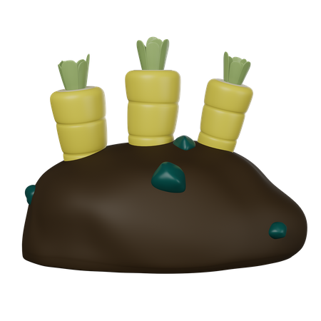Carrots Field  3D Icon