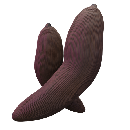 Casava  3D Icon
