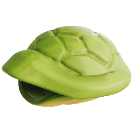 Casco de tartaruga  3D Icon