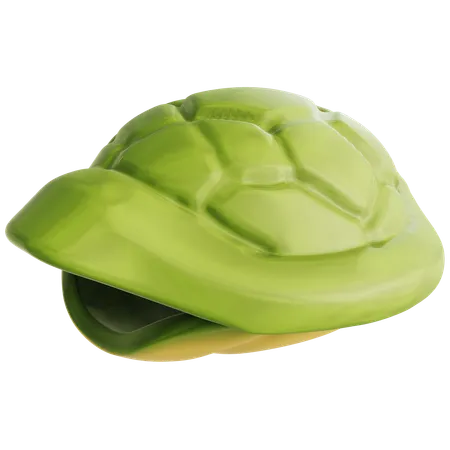 Casco de tartaruga  3D Icon