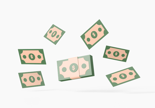 Cash  3D Icon