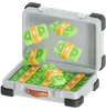 Cash briefcase