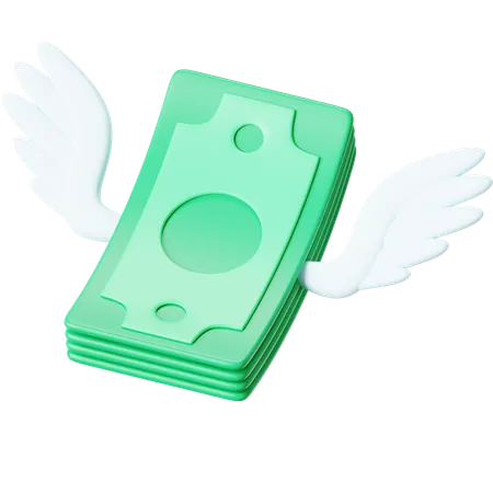 Cash Fly  3D Icon