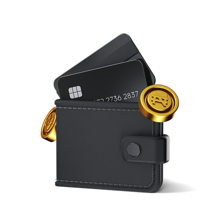 Cash Wallet  3D Icon