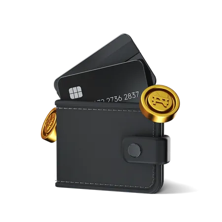 Cash Wallet  3D Icon