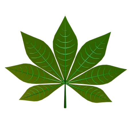Cassava Leaf  3D Icon