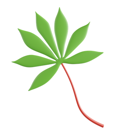 Cassava leaves  3D Icon
