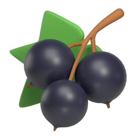 Cassis  3D Icon