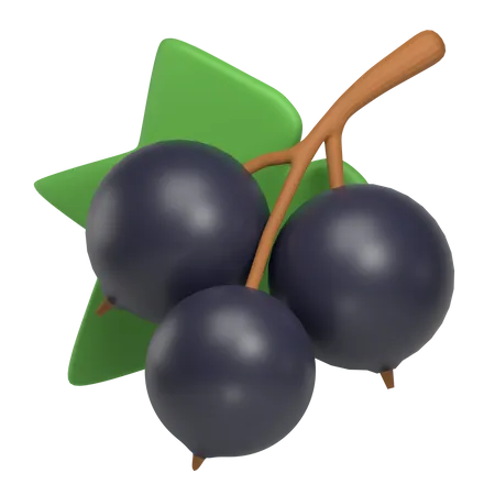 Cassis  3D Icon