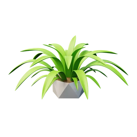 Cast Iron Plant  3D Icon