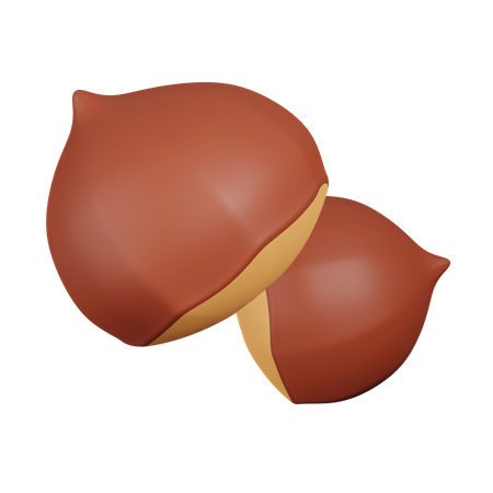 Castanha  3D Icon