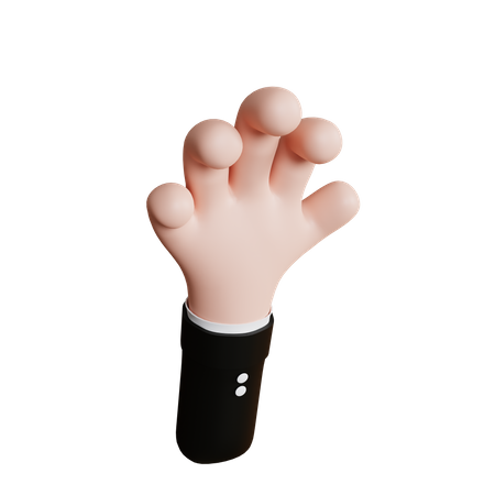 Catch Hand Gesture  3D Icon