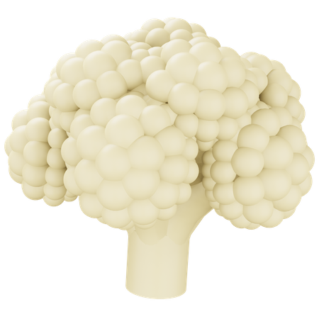 Cauliflower  3D Icon