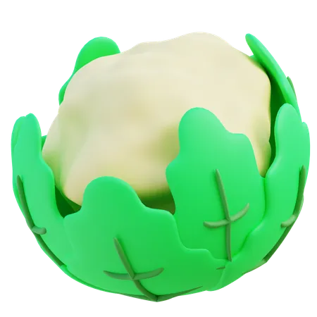 Cauliflower  3D Icon