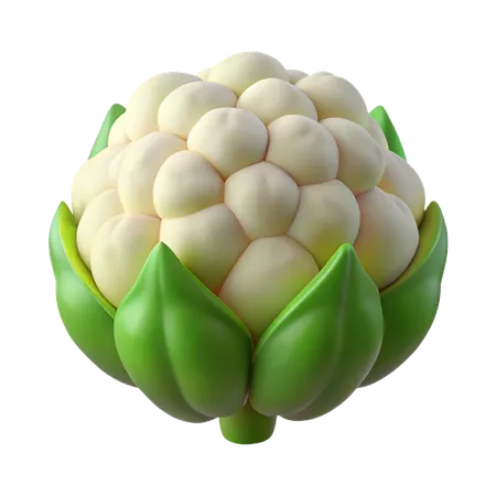 Cauliflower  3D Icon
