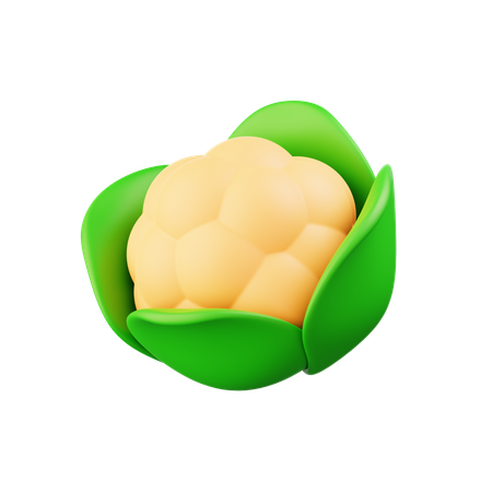 Cauliflower  3D Icon