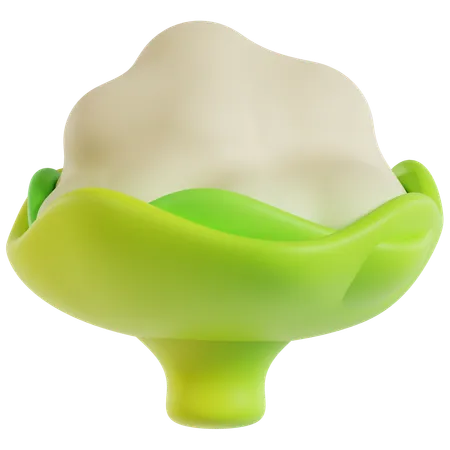 Cauliflower  3D Icon