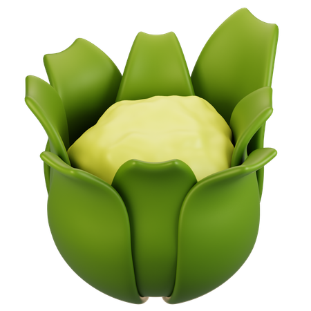 Cauliflower  3D Icon