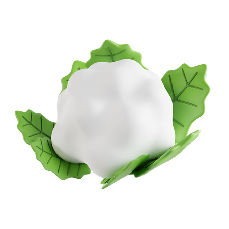 Cauliflower  3D Icon