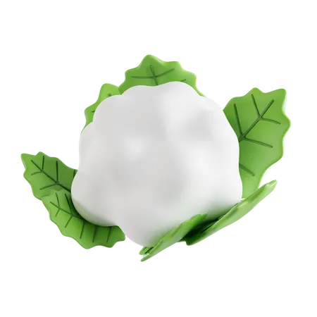 Cauliflower  3D Icon