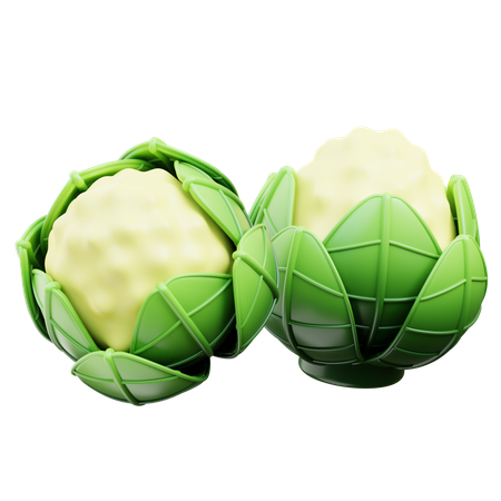 Cauliflower  3D Icon