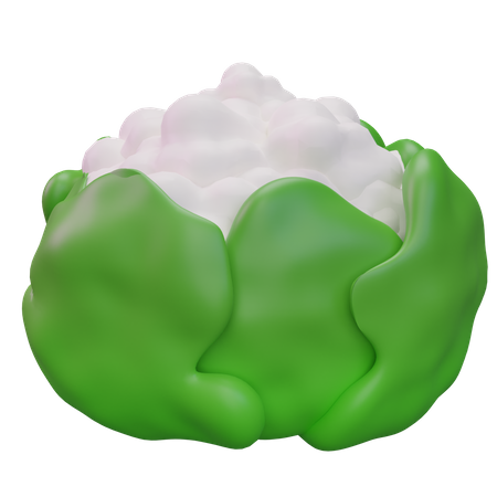 Cauliflower  3D Icon