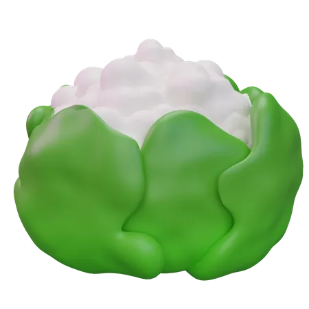 Cauliflower  3D Icon