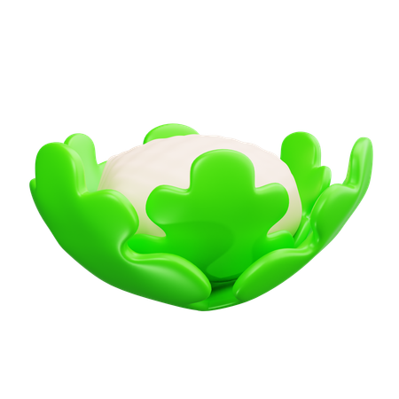 Cauliflower  3D Icon