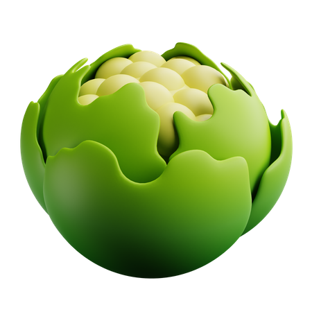 Cauliflower  3D Icon