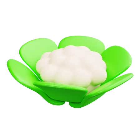 Cauliflower  3D Icon