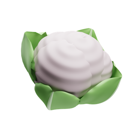 Cauliflower  3D Illustration